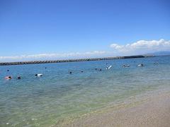 IMG_3840.jpg