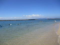IMG_3849.jpg