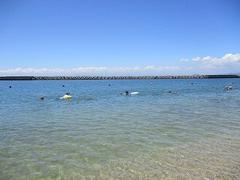 IMG_3855.jpg