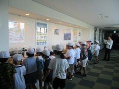 IMG_8226.jpg