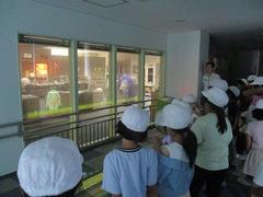 IMG_8227.jpg