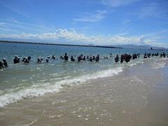 IMG_3639.jpg