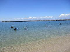 IMG_3785.jpg