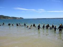 IMG_3648.jpg