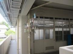 IMG_3521.jpg