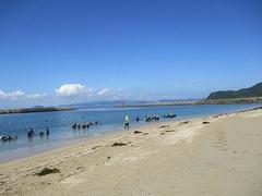 IMG_3755.jpg