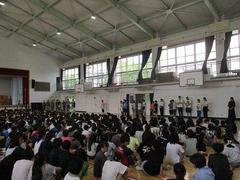 IMG_3531.jpg