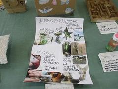 IMG_3989.jpg