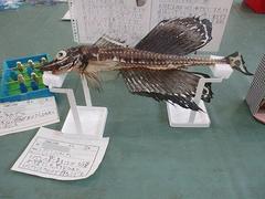 IMG_3983.jpg