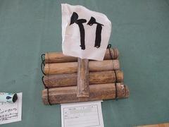 IMG_3996.jpg