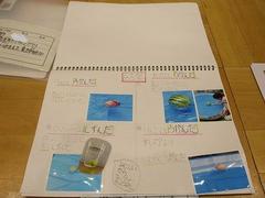 IMG_4008.jpg