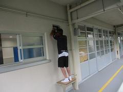IMG_3881.jpg