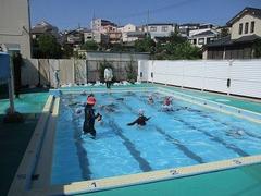 IMG_4229.jpg