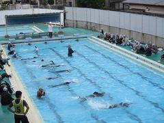 IMG_4332.jpg