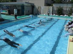 IMG_4232.jpg