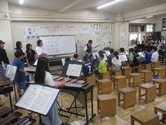 IMG_4393.jpg