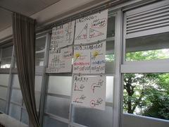 IMG_4025.jpg