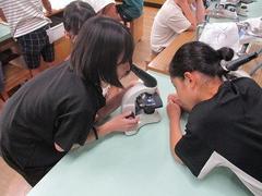 IMG_4065.jpg