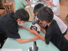 IMG_4067.jpg