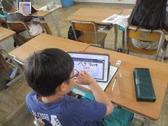 IMG_4140.jpg