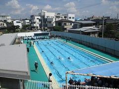 IMG_4151.jpg