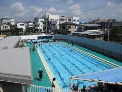 IMG_4152.jpg
