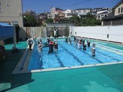 IMG_4225.jpg