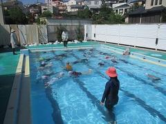 IMG_4227.jpg