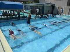 IMG_4234.jpg