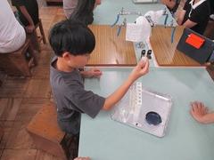 IMG_4296.jpg