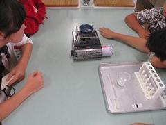 IMG_4298.jpg