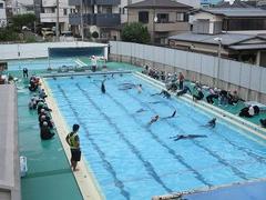 IMG_4334.jpg