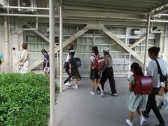 IMG_4397.jpg