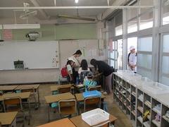 IMG_4407.jpg