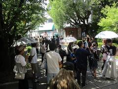 IMG_4409.jpg