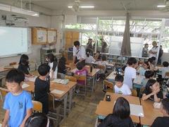 IMG_4388.jpg
