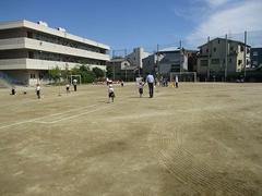 IMG_4553.jpg