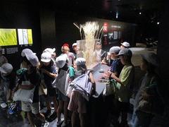 IMG_4558.jpg