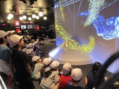 IMG_4560.jpg