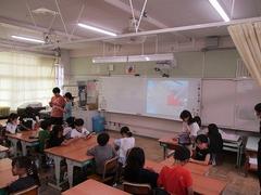 IMG_8339.jpg