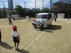 IMG_4554.jpg