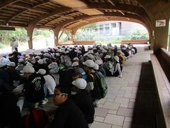 IMG_8237.jpg