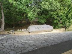 IMG_8243.jpg