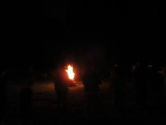 IMG_8261.jpg