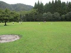 IMG_8264.jpg