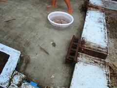 IMG_8278.jpg