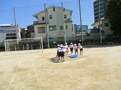 IMG_8311.jpg