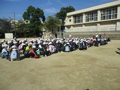 IMG_8236.jpg