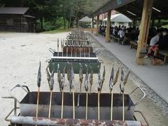 IMG_8283.jpg