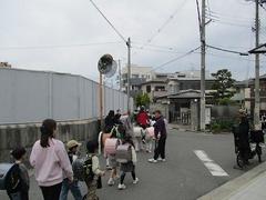 IMG_0500.jpg